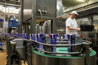 特寫 一帶一路 助波蘭奶農(nóng)走上致富路