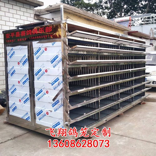 飛翔鴿籠 不銹鋼放飛籠 訓放籠 賽鴿籠 賽鴿集裝箱產品展示