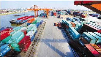 浙江日?qǐng)?bào) 集裝箱購(gòu)銷市場(chǎng)分析與未來(lái)展望